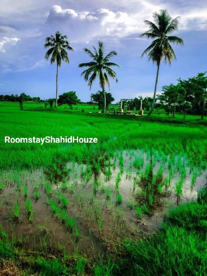Roomstay Shahid Hou'Ze Kangar Dış mekan fotoğraf