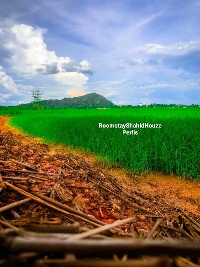 Roomstay Shahid Hou'Ze Kangar Dış mekan fotoğraf